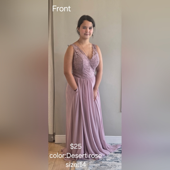 Elegant Desert Rose Lace Evening Dress - Picture 1 of 2